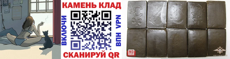 дарнет шоп  Заречный  ГАШ hashish 