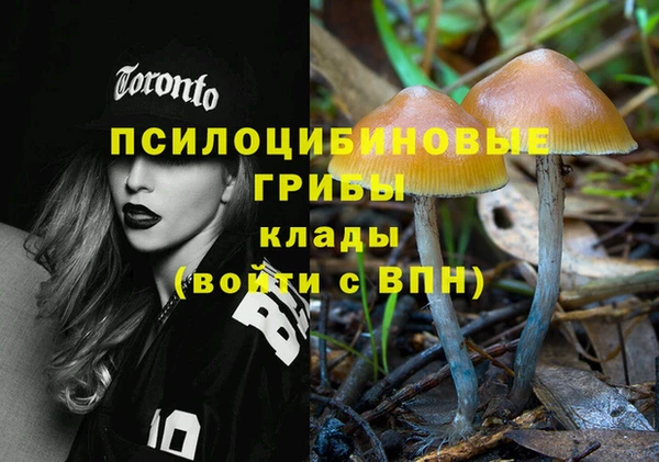 спиды Белоозёрский