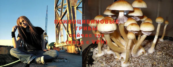 ешки Беломорск