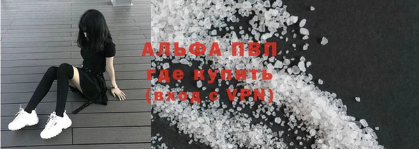 спиды Белокуриха