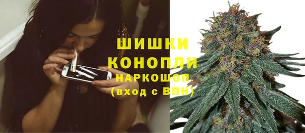 спиды Белокуриха